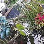 Erika Holiday home *