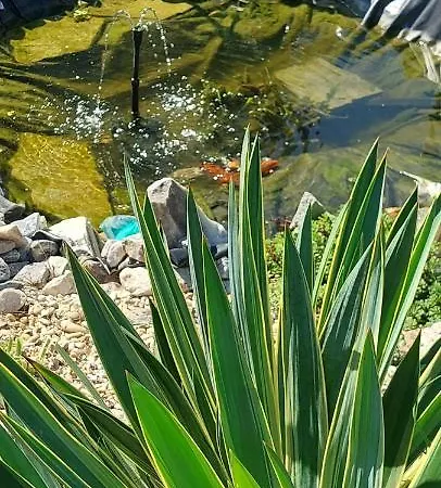 Erika Holiday home *