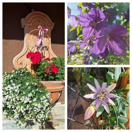 埃里卡度假屋 沃茨伯格
