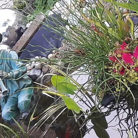 Erika בית נופש *