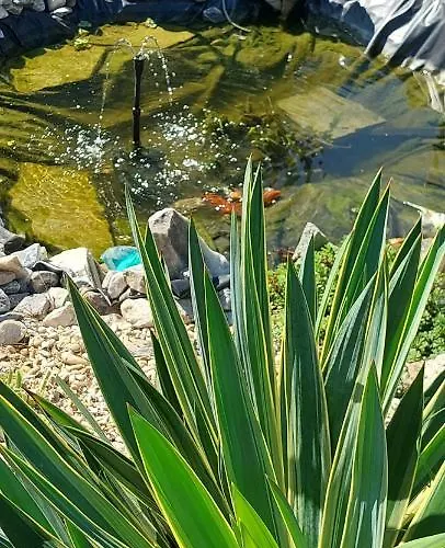 埃里卡度假屋 度假居 *