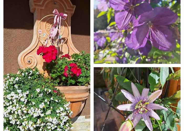 埃里卡度假屋 沃茨伯格