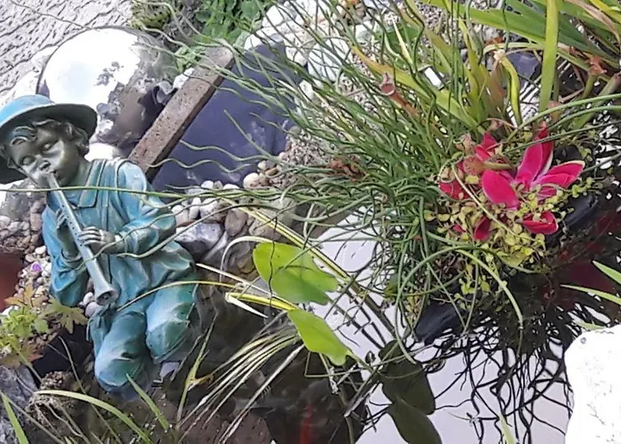 埃里卡度假屋 度假居 *