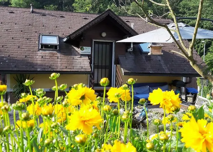 埃里卡度假屋 度假居 沃茨伯格